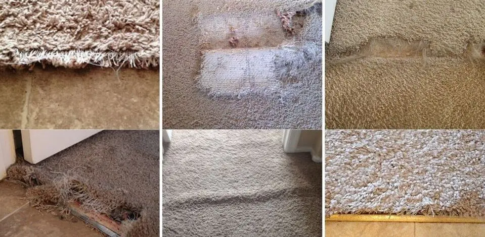 Can Ripped Carpet Be Repaired?
